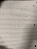 Business week 5