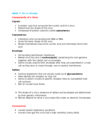 Week 7 Notes: Viruses