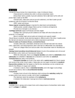 BI 231 Week 3 Lecture + Worksheet Notes