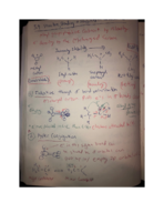 Week 8 Notes