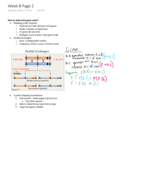 Week 8 Notes