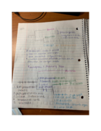 Bio 150, week 7