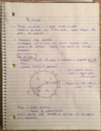 Biology week 8 notes