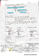 Processing of proteins