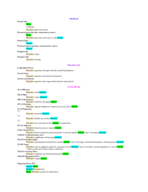 Lab Practical #4 Human Anatomy; James Ivey 