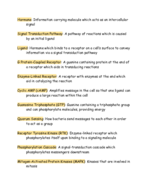 BIOL 203 Lecture & Readings, Vocabulary Study Guide