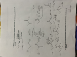 Study guide 