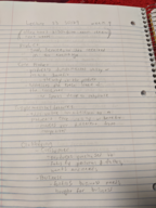 Business week 9