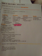 Intro to Anthropology | Week #9