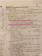 PSYC 440