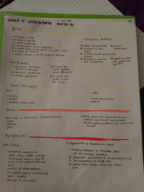 Intro to Anthropology | Week #10