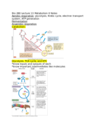 Bio 280 Microbiology Metabolism II Notes 
