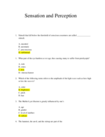 Sensation and Perception 