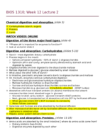 Week 12 Lecture 2 notes