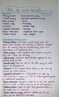 POLS 206, Exam 3 study guide