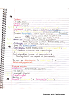 BIOL 160 Week 4