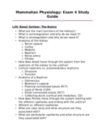 Mammalian Physiology: Exam 4 Study Guide