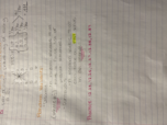 Exam 2 review 