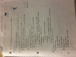 Chapter 19