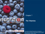 Chapter 7 & 8 notes