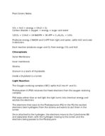 Plant Science Study Guide
