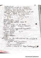 BIOL 160 Week 8