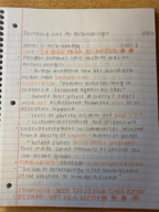 Anth 195, Week 1, Class 2