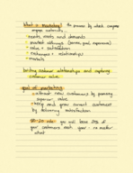 Marketing 220 - Week 1 notes