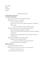 Study Guide in Photosynthesis
