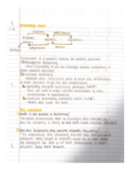 ACCOUNTING 2003 NOTES