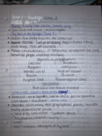 The Greek Achievement, Week 2 lecture notes