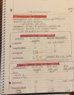 BIOL 2041 : Biomolecules (HO #2)