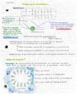 (part 2 of 2) - week 1 notes - BMS 300