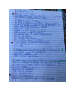 Spanish 2020, Week 1