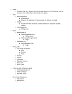 Experiential Anatomy - Final Exam Study Guide