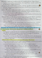CHE 113, Week 3, Chapter 4