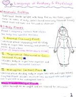 Human Anatomy 1, Week 1 and 2 Notes