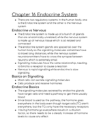 BIOL 2302 Ch 16 A Notes