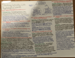 This is for Introduction to Psychology Class