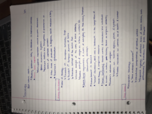 Sociology week 4 notes