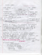 Courts Study Guide for Exam 1