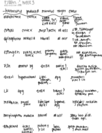 Human Anatomy and Physiology 2 Lab, Week 3 Class Notes