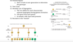 Genetics Notes, Week 1, Class 1