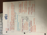 Week 1/2 Notes KINE 3360