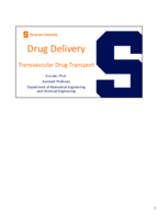 L6-Transvascular Transport