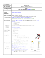 Chapter 3 Notes