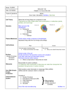 Chapter 4 Notes