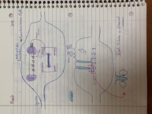 exam 1 lecture 2/13