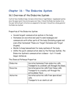 Endocrine System Study Guide 