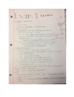 Exam 1 Study Guide